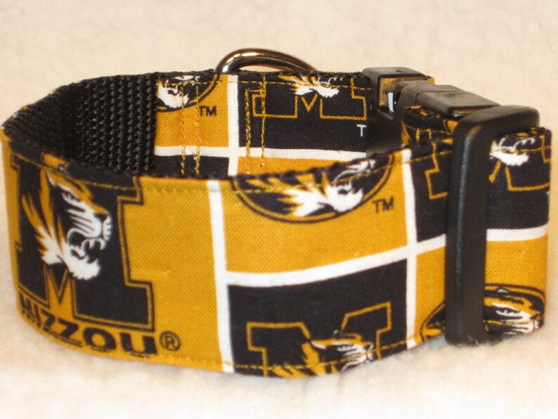 Martingale Collar or Side Release Dog Collar 1 BlackGold 1.5 /& 2 inch Wide Dog Collar University of Missouri Truman the Tiger