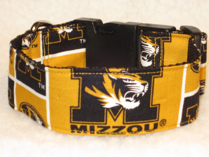 Martingale Collar or Side Release Dog Collar 1 BlackGold 1.5 /& 2 inch Wide Dog Collar University of Missouri Truman the Tiger