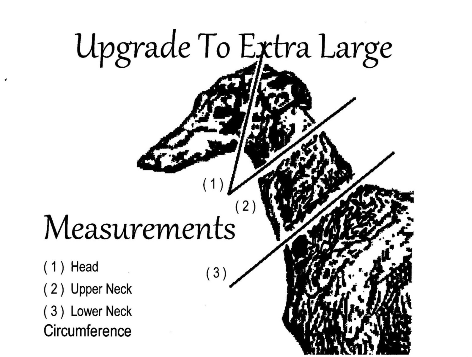 Martingale Collar Hearts Martingale Collar 2 Inch Etsy