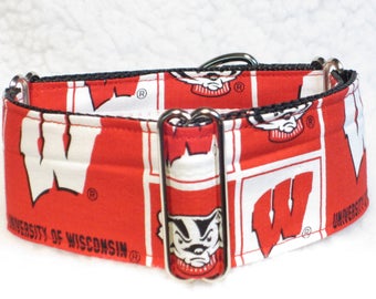 Univ of Wisconin Martingale Dog Collar or Side Release Dog Collar, The Badger 1", 1.5" & 2" inch Wide Dog Collar, Red/White