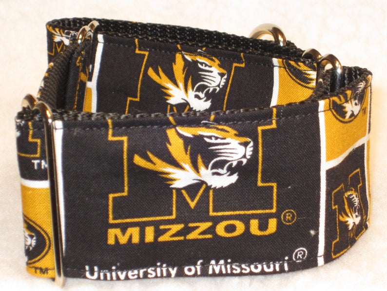 Martingale Collar or Side Release Dog Collar 1 BlackGold 1.5 /& 2 inch Wide Dog Collar University of Missouri Truman the Tiger