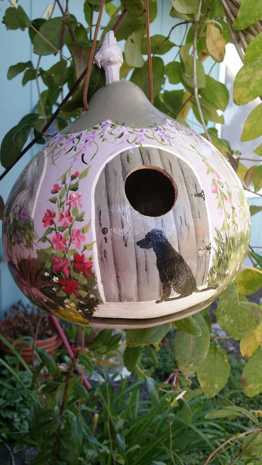 bird house gourds
