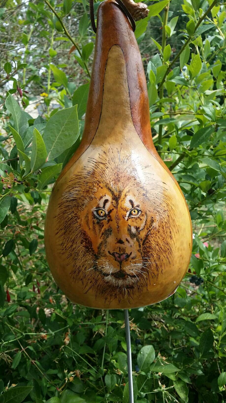 Thunder gourd with lion..nice thunder rumble roar.