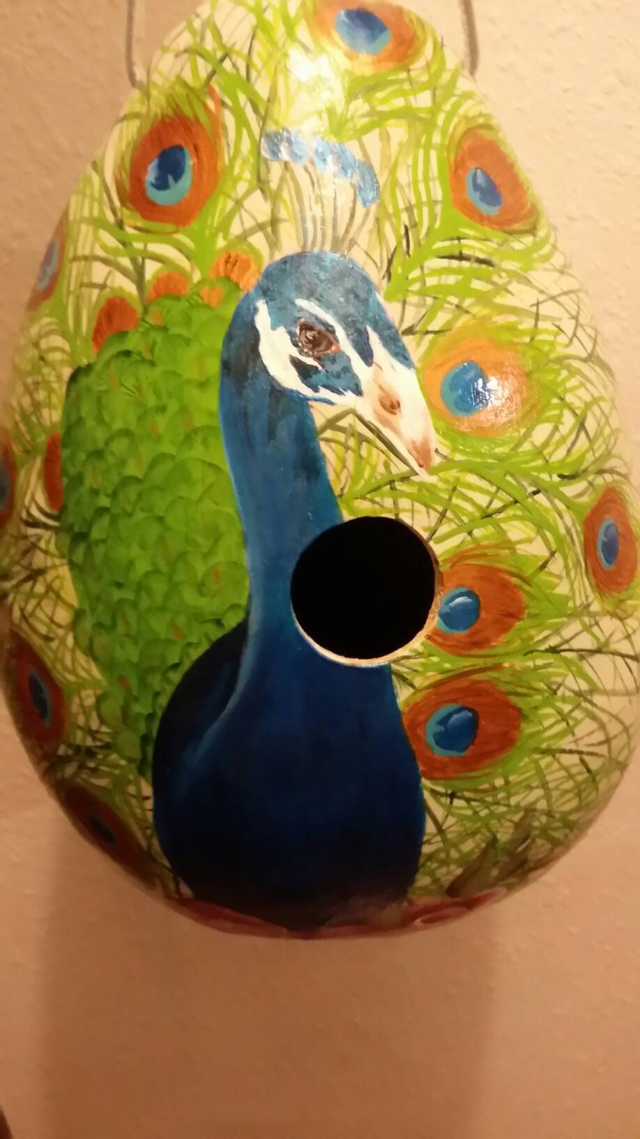 handpainted peacock gourd birdhouse