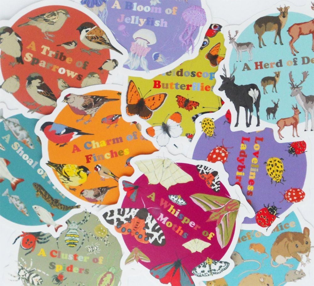 Collective Noun Animal Stickers Etsy UK