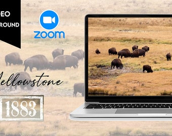 Yellowstone Zoom Animated Video Virtual Backgrounds | Backdrop | Office Background | Microsoft Teams | Facebook | WebEx | Skype