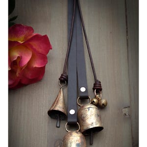May include: Dark brown leather straps with attached brass bells of varying sizes. The image includes the text "Current dark brown leather texture & color" and a partially visible rose with red and yellow petals.