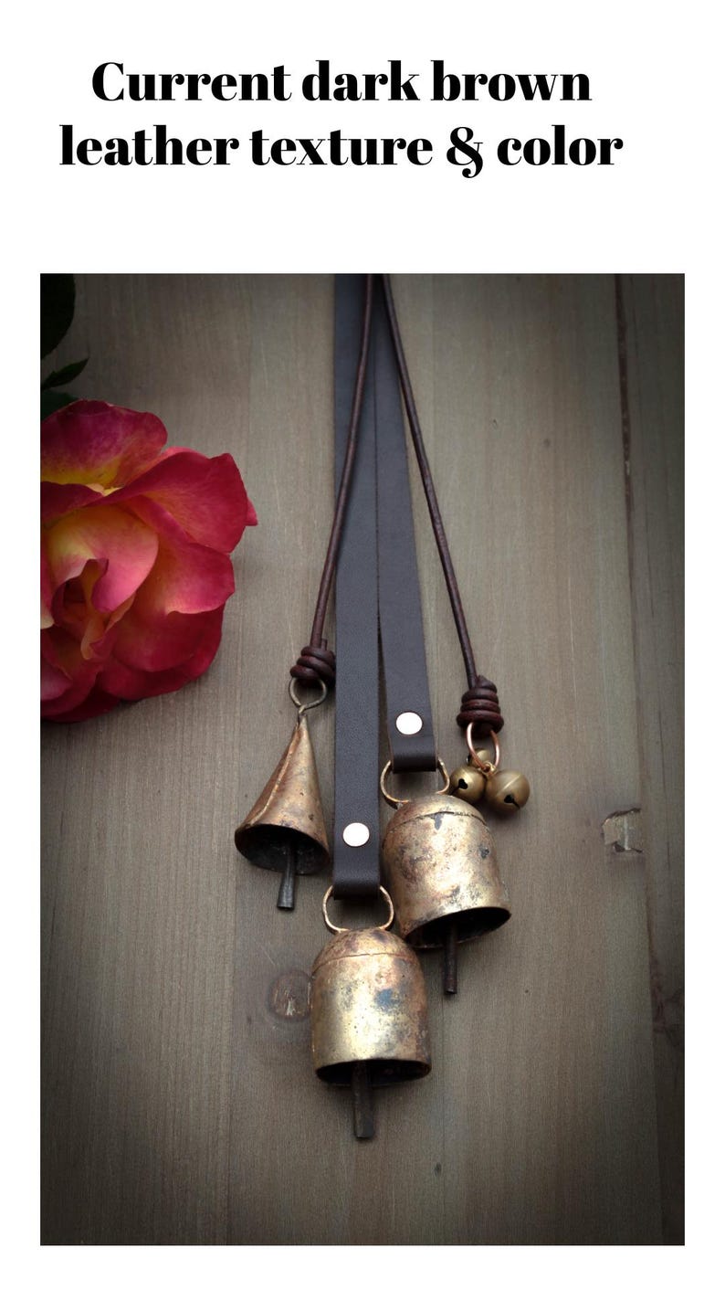 May include: Dark brown leather straps with attached brass bells of varying sizes. The image includes the text "Current dark brown leather texture & color" and a partially visible rose with red and yellow petals.