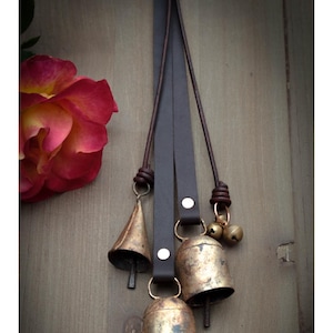 May include: Dark brown leather straps with attached brass bells of varying sizes. The image includes the text "Current dark brown leather texture & color" and a partially visible rose with red and yellow petals.