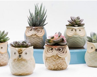 Owl Decor Etsy