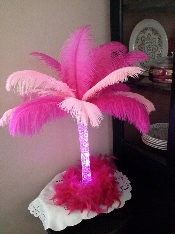 Pink Ostrich Feather Centerpiece With Lighting Comes With Etsy