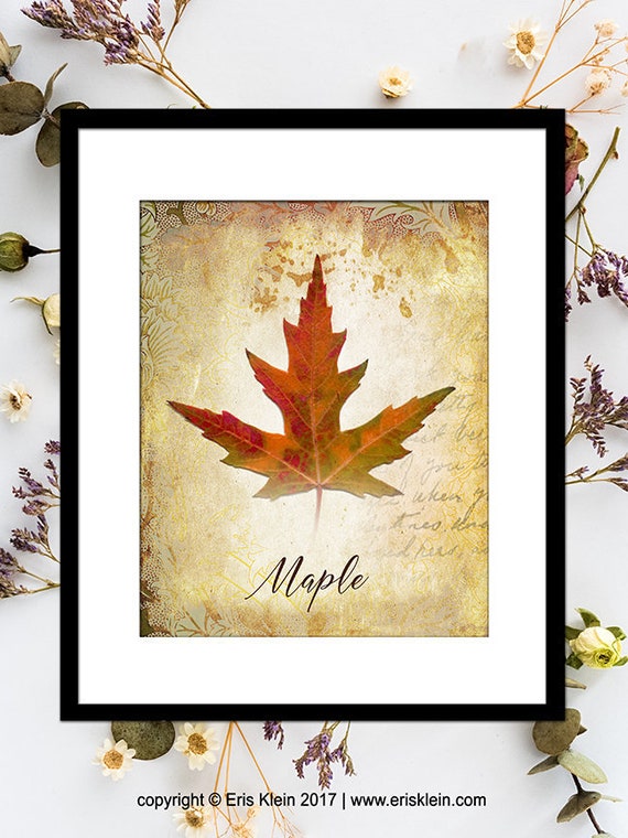 Vintage Maple Leaf Print: Autumn Wall Art