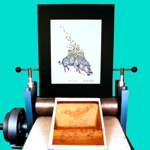 May include: A 16x20 inch matted original etching of a boar with a blue and green color scheme. The etching is titled "Torc Triath" and is framed in a black frame. The etching is being printed on a printing press.