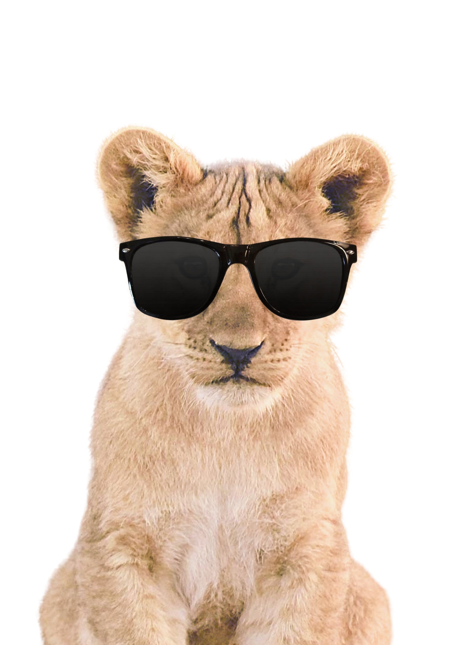 „Wild One“ Dschungel-Geburtstagsbanner – Safari-Party-Deko Mit Tieren