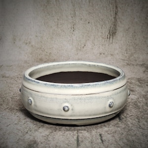 May include: White ceramic planter with a blue rim and a row of small, raised dots around the edge. The planter is round and has a wide, shallow base.