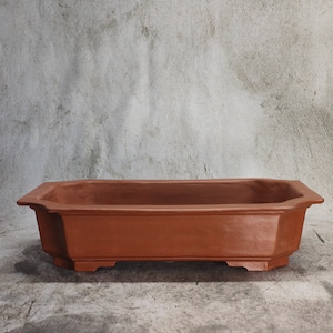 Puede incluir: Una maceta rectangular de bonsai de terracota con un fondo ligeramente redondeado y un borde ancho y plano. La maceta tiene un acabado liso y sin esmaltar y es de un color marrón rojizo intenso.