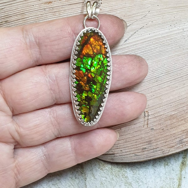 Ammolite Pendant. Canadian Opal. DragonScale. Multicoloured.