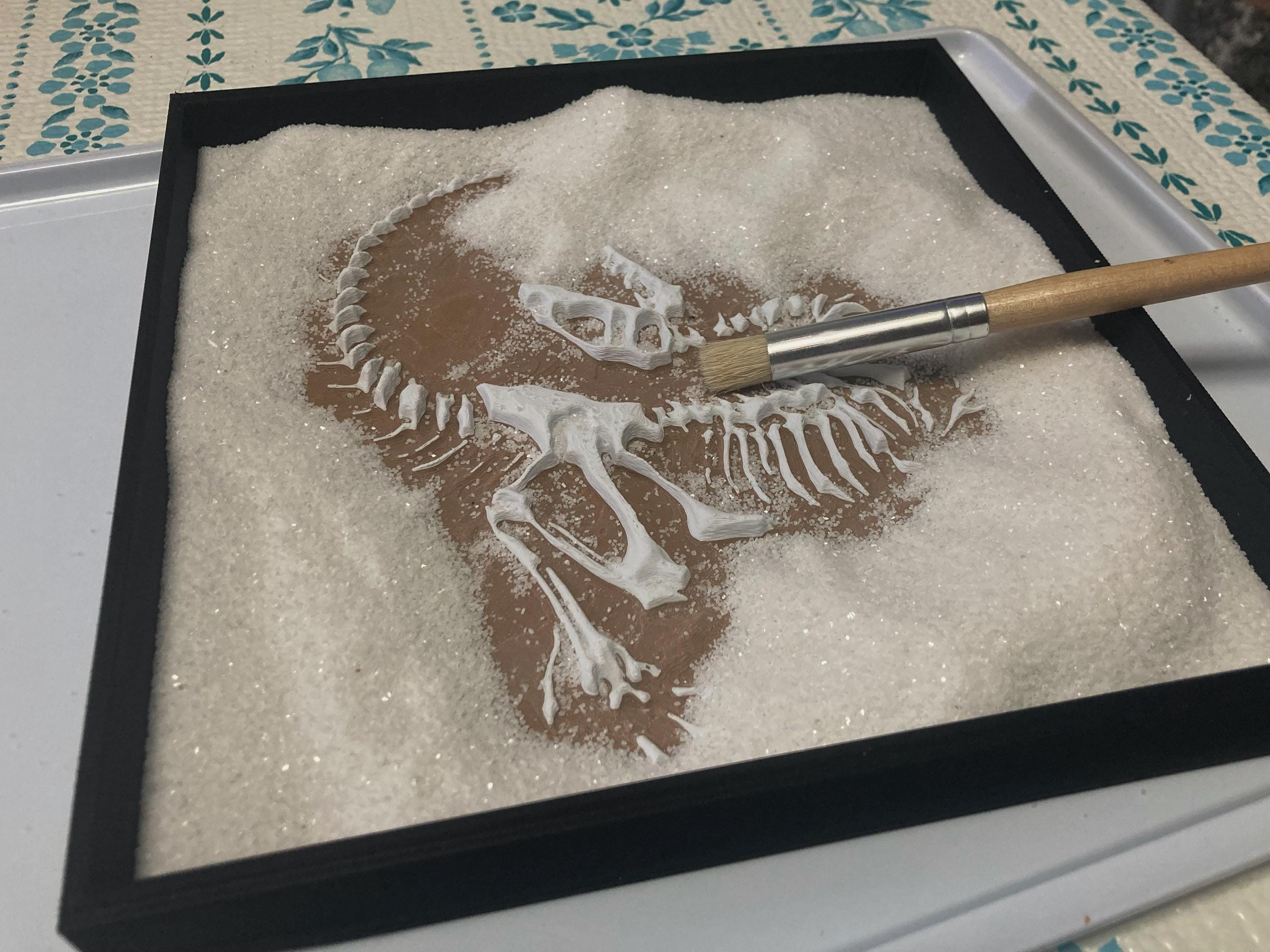 Dinosaur Fossil Sensory Excavation Dig Kit | STEM Play - Etsy
