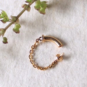 May include: A gold-colored ear cuff with a chain. The ear cuff has a curved bar design and a delicate chain that connects to a small stud. The jewelry is set against a neutral background, with a sprig of green leaves in the upper left corner.