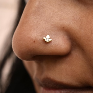 May include: A close-up of a nose with a gold nose stud. The stud is shaped like a flower with a small, clear gemstone in the center. The skin tone is a warm, medium brown.