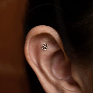 Può includere: Un piccolo orecchino a forma di fiore con montatura color oro e pietre nere. L'orecchino è inserito nell'orecchio, mostrando il suo design delicato e i suoi dettagli intricati. Il gioiello è un accessorio elegante.
