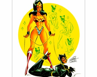WOMDER WOMAN vs CATWOMAN