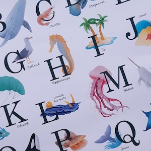 Abécédaire de la mer | Format A3, animaux de la mer, décoration chambre d'enfant & bébé