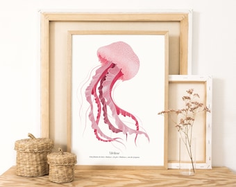 Print A4 Jellyfish | Decoration | Ready to frame