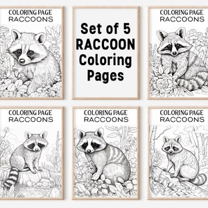 Puede incluir: Un conjunto de cinco páginas para colorear en blanco y negro con ilustraciones de mapaches. Cada página muestra el texto COLORING PAGE RACCOONS en la parte superior. Las imágenes muestran mapaches en entornos naturales con flores y troncos.