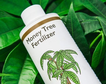 Liquid Money Tree Fertilizer, Concentrated indoor & outdoor, Money tree food, For all Varieties, Outdoor Pachira aquatica fertilizer