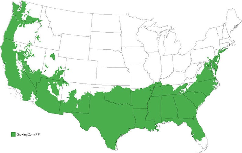 May include: A map of the United States showing the growing zones 7-9 in green. The zones are located in the western, southern, and eastern parts of the country.