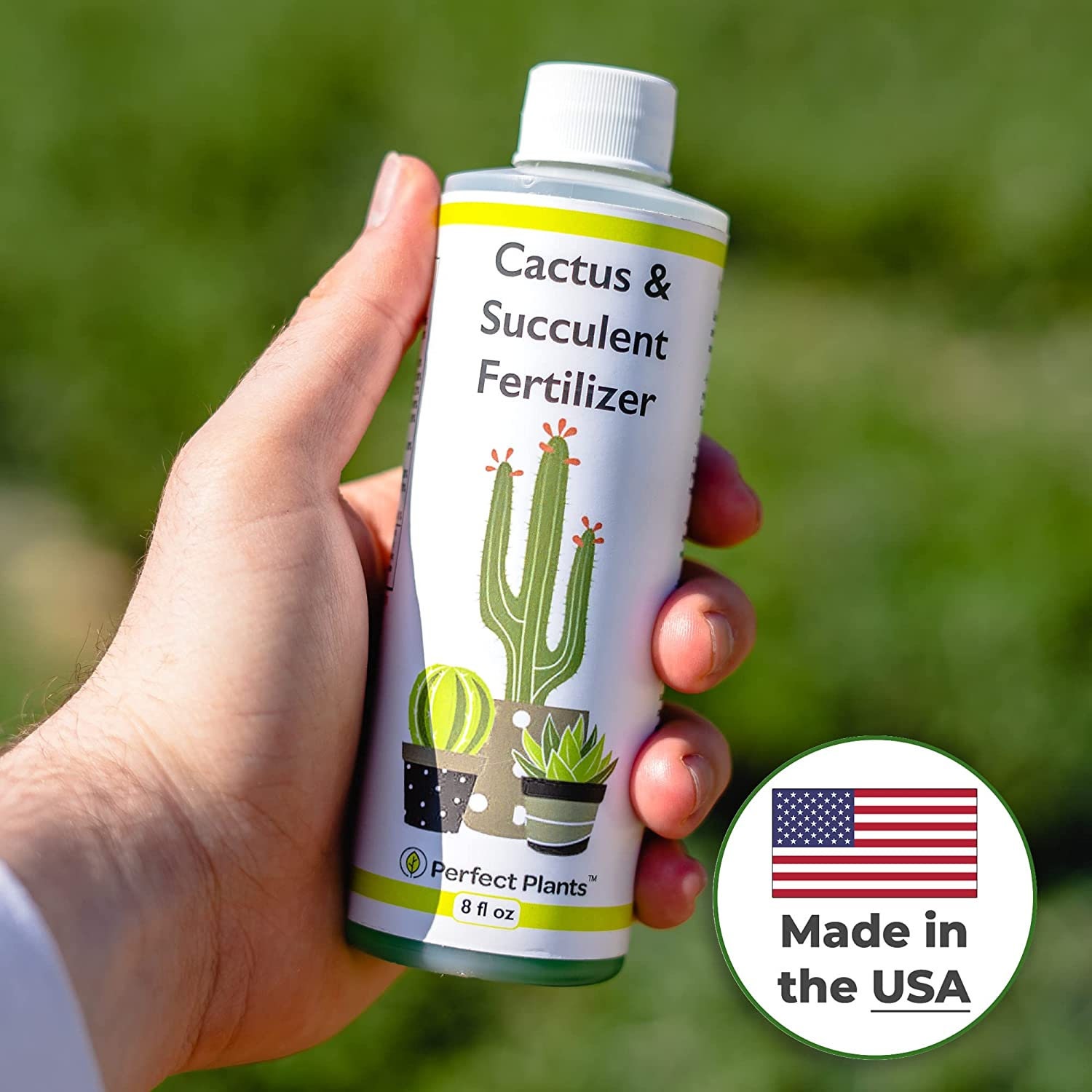 Perfect Plants Liquid Cactus and Succulent Fertilizer 8oz. Etsy