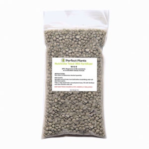 Bulk Slow Release Fertilizer by Perfect Plants - Great for All Plants, 18-6-8 NPK Rate, Nutricote, 1 LB bag