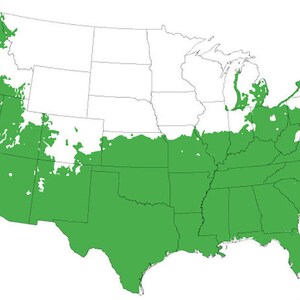 Puede incluir: Un mapa de los Estados Unidos que muestra las zonas de cultivo 6-9 en verde. El mapa est&aacute; dividido en estados y muestra las &aacute;reas donde las plantas pueden crecer con &eacute;xito.