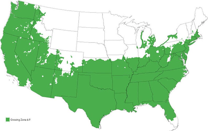 Puede incluir: Un mapa de los Estados Unidos que muestra las zonas de cultivo 6-9 en verde. El mapa est&aacute; dividido en estados y muestra las &aacute;reas donde las plantas pueden crecer con &eacute;xito.