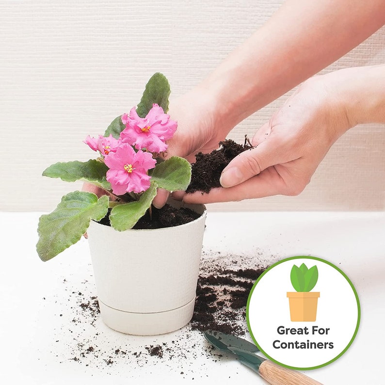 May include: A person is adding soil to a white plastic pot with a pink African violet plant. The pot has a drainage saucer. The text "Great For Containers" is on a green circle with a small plant illustration.