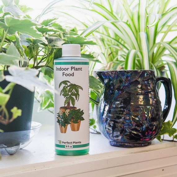 Liquid Indoor Plant Food, 8oz. of Concentrated All-purpose Fertilizer | Use  With All Varieties of Houseplants - Etsy Denmark