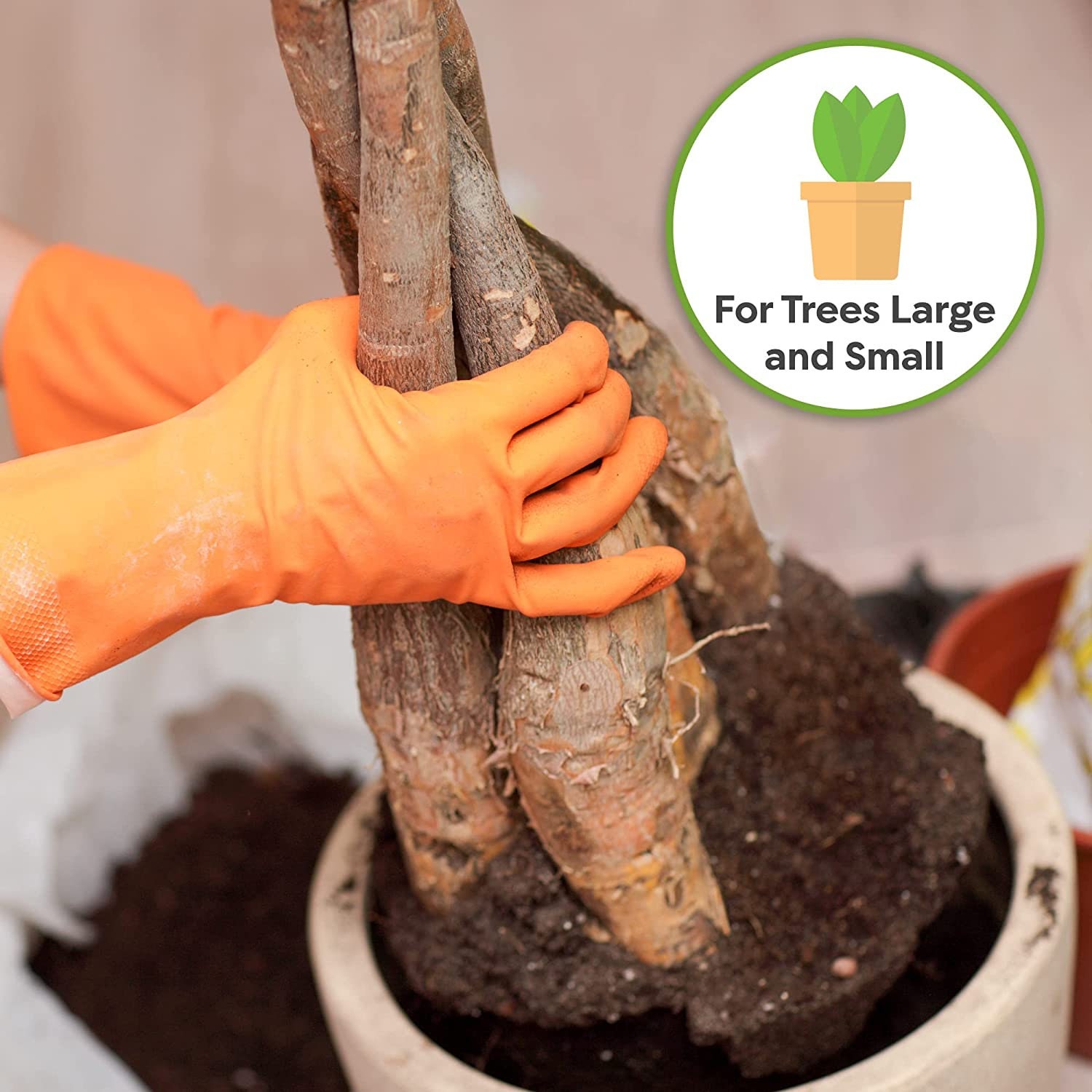 Perfect Plants Money Tree Potting Soil Mix - 2 Quart Organic Coco Coir Blend  For Pachira Aquatica Indoor Trees Perfect Plants Money Tree Soil