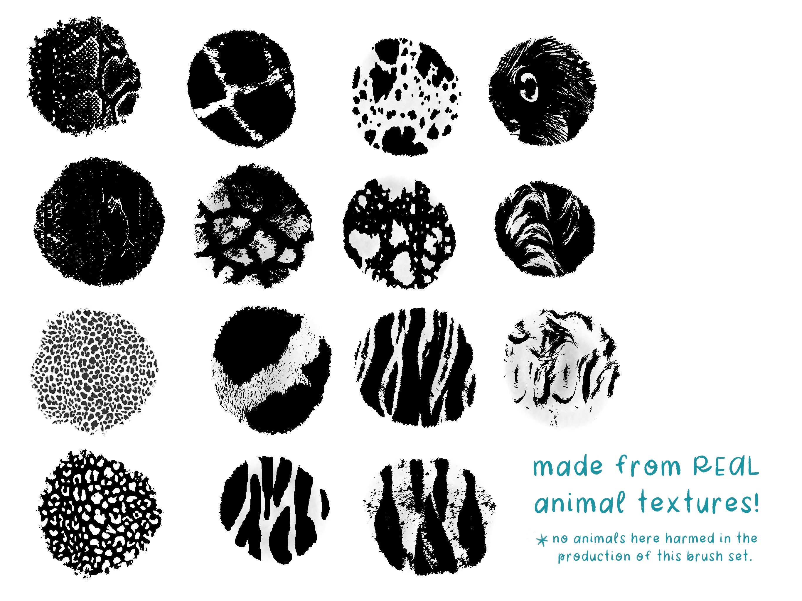 Animal Adventure Procreate Brush Bundle, Animal Print Brushes, Digital ...