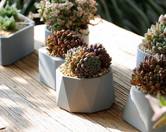 New geometric flowerpot molds Concrete silicone mold Cement Planter Molds DIY Clay Molds Planter mold