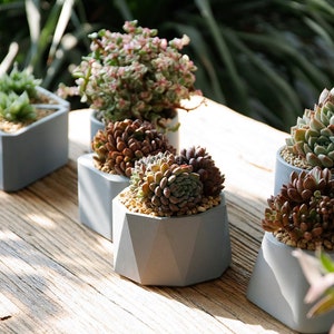 Geometric Flowerpot Silicone Mold: DIY Concrete Planter, Clay Mold
