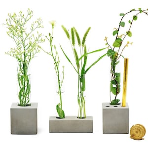 May include: Three concrete flower vases with glass test tubes for holding flowers. The vases are gray and have a modern design. The flowers are green and white.