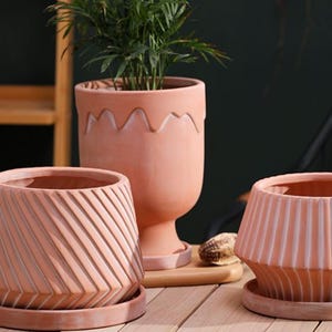 May include: A selection of terracotta-coloured ceramic plant pots with different textured designs. One pot has a wavy top edge, another has diagonal lines, and the third has vertical lines. A small plant is in the tallest pot.