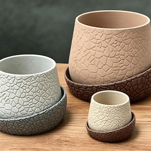 May include: Three ceramic planters in varying sizes, each with a textured, mosaic-like pattern. The largest planter is beige, the medium one is light gray, and the smallest is off-white. All sit on matching saucers, with a brown saucer for the largest and smallest.