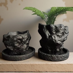 May include: Two black, textured planters with matching saucers. One planter is empty, while the other holds a green, leafy plant. The planters have a rough, organic appearance, resembling stone or rock formations. The set is displayed on a neutral surface.