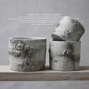 May include: Three grey concrete planters with a rough, textured surface. The planters are cylindrical and have a rustic, weathered look.  LIVING WITH THE SUCCULENTS is written in black text at the top of the image.