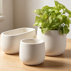 May include: Three matte white ceramic planters of varying shapes and sizes. One is an elongated oval, one is a small rounded cylinder, and the third is a larger rounded cylinder containing a vibrant green leafy plant with light green veins.
