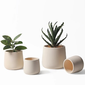 Op de afbeelding: Vier witte keramische potten in verschillende maten, twee met groene planten, één met een succulent en één leeg.