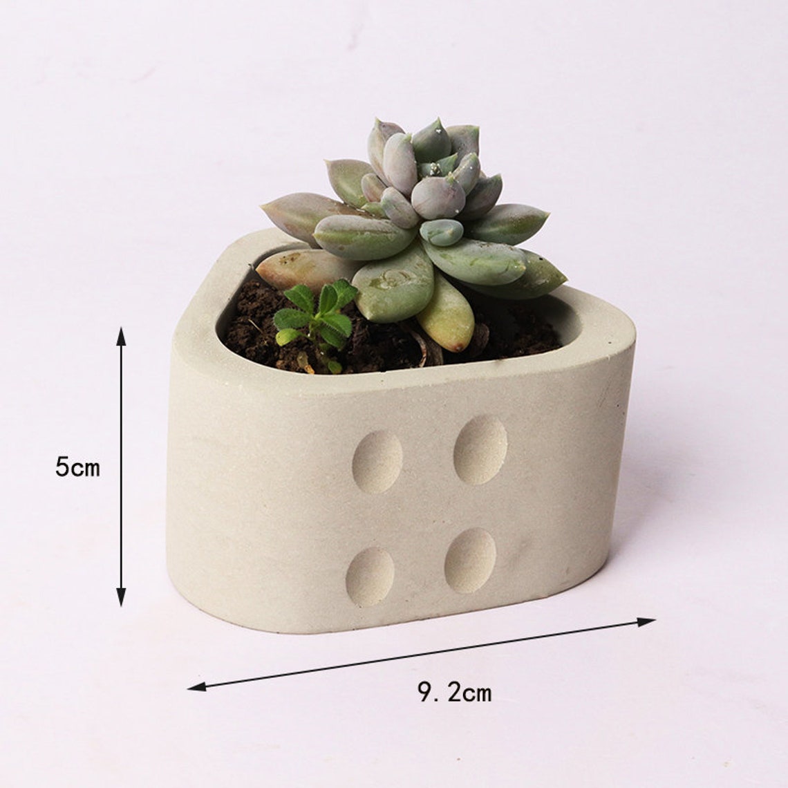 Creative flower pot mold garden green planting concrete mold Etsy