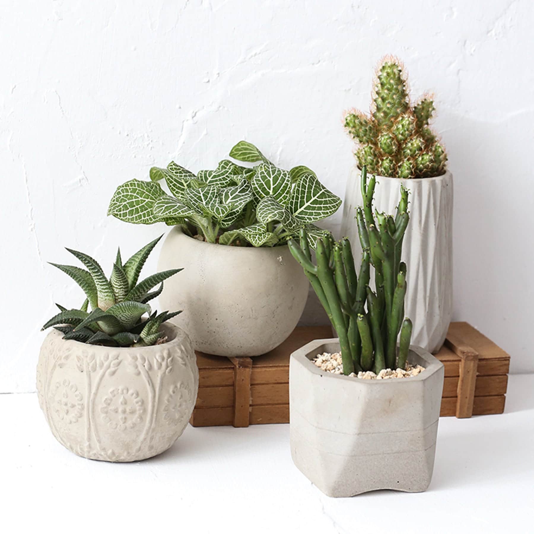DIY Succulents Flower Pot Silicone Mold Concrete Table Goods Tray Mold DIY Succulents Flower Pot Silicone Mold Concrete Table Goods Tray Mold